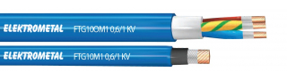 FTG10M1 , FTG10OM1
