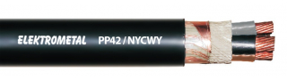 PP42 / NYCWY